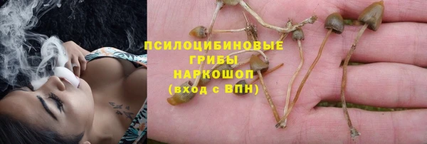 a pvp Пересвет