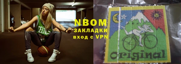 стаф Дмитров