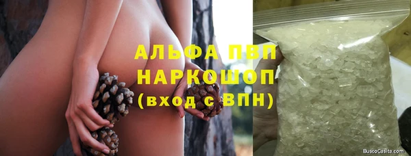 сатива Переславль-Залесский
