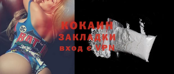 стаф Дмитров