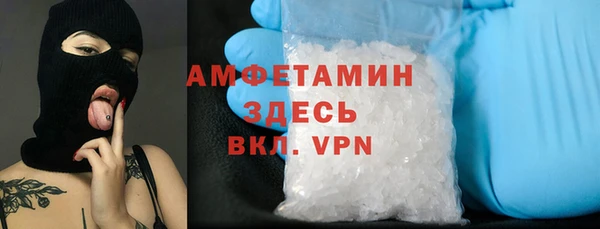 стаф Дмитров
