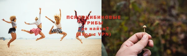 2c-b Покачи