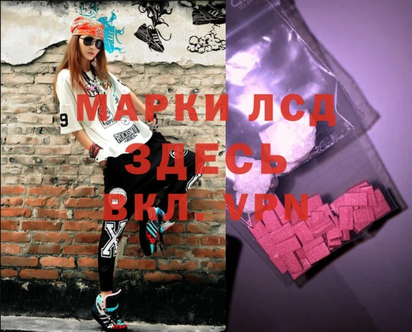a pvp Пересвет