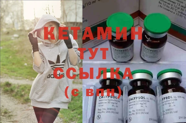 стаф Дмитров