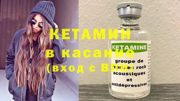 стаф Дмитров