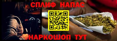 Альфа ПВП Будённовск