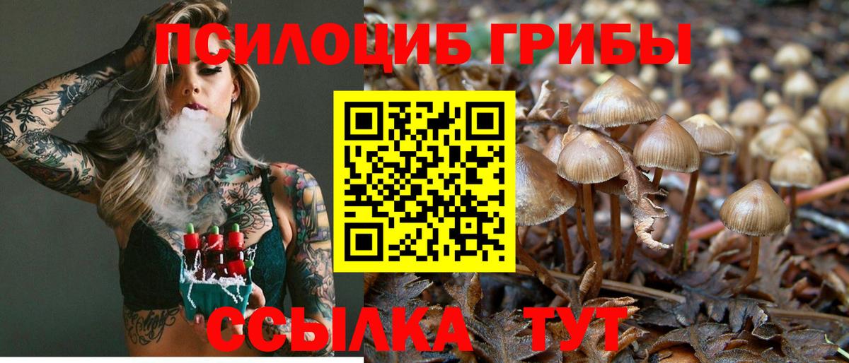 Галлюциногенные грибы Cubensis  Галлюциногенные грибы мухоморы  Семилуки  Вход с VPN 